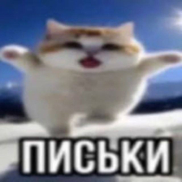 twongi_'s tweet photo. #поискмью #ищумью

- Даша (она/её)
- 22 то y.o.
- intj
- шарю за многие фд (k-pop, игры, аниме, твич, Алиса в пограничье)
- хочу найти друзей, чтобы общаться не только в тви :(
- буду рада всем ~ https://t.co/JkPMk7PSAl