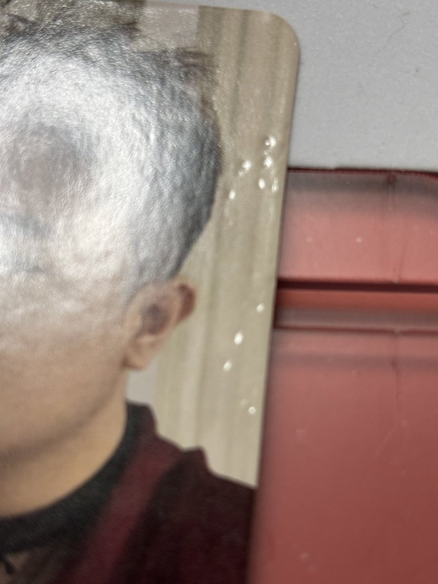 BUHI🐷💖 tweet media