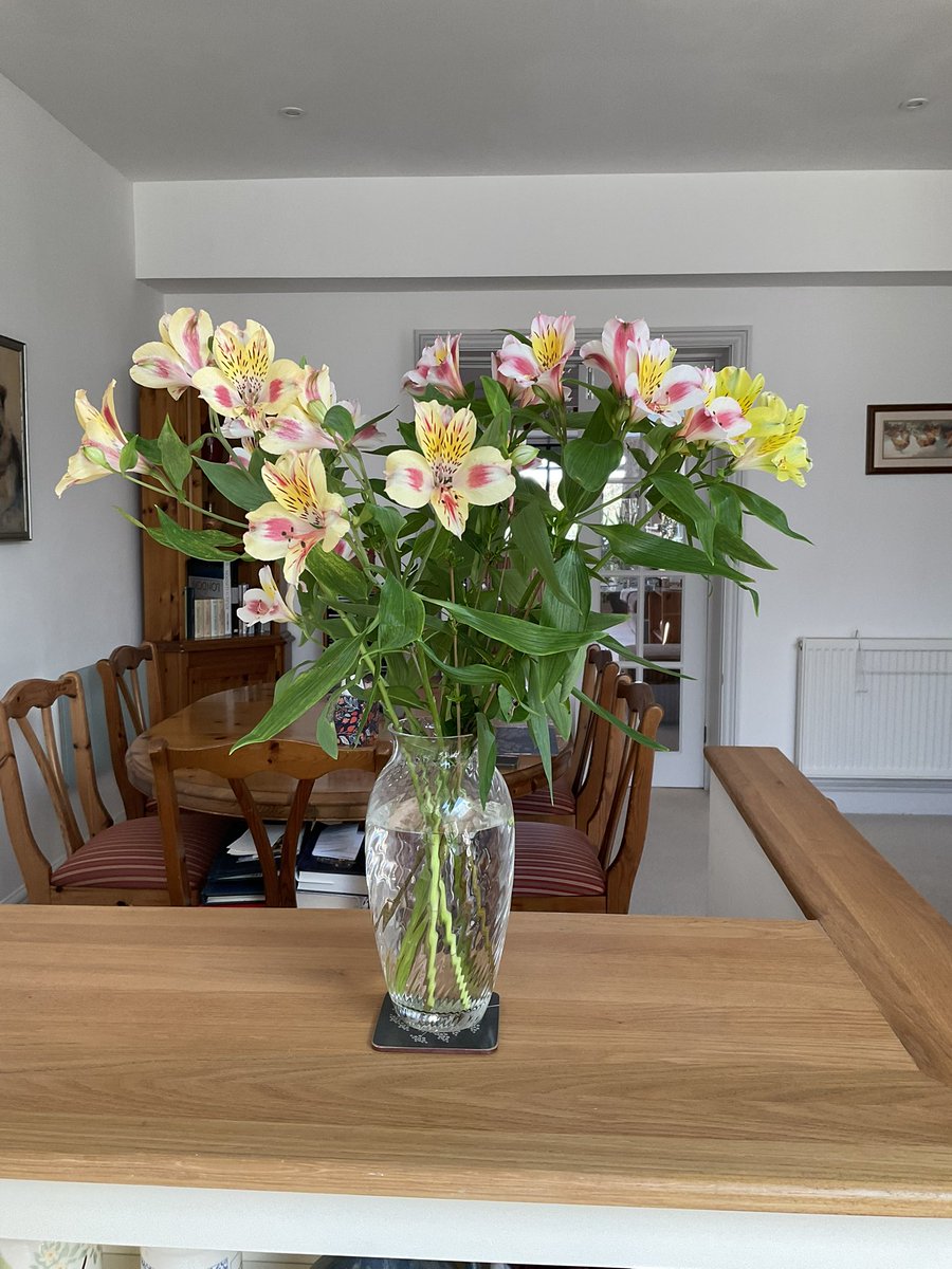 Lord Teddy, who loves his beddie! tweet media