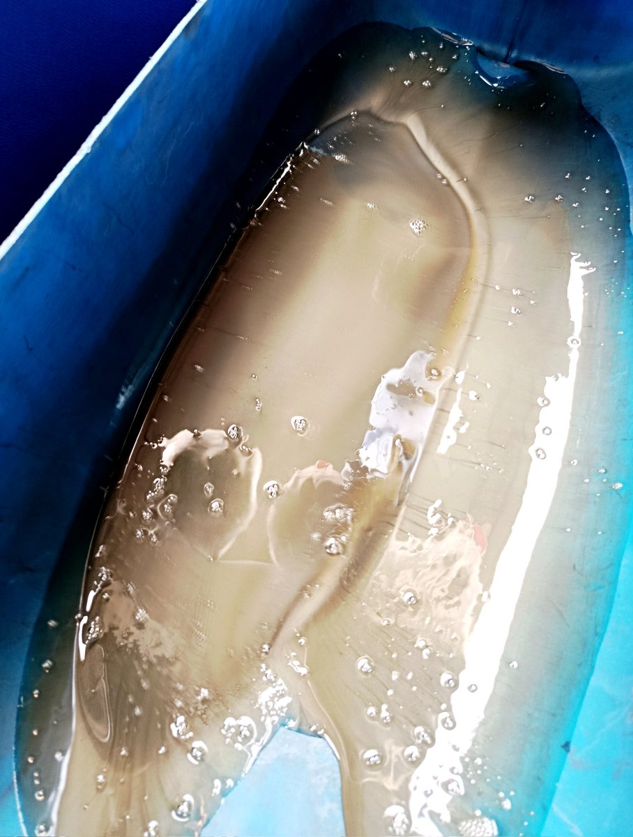 Maximales Drehmoment tweet media