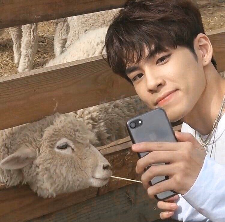 양 ❤️ 강영현
양 ❤️ 김원필