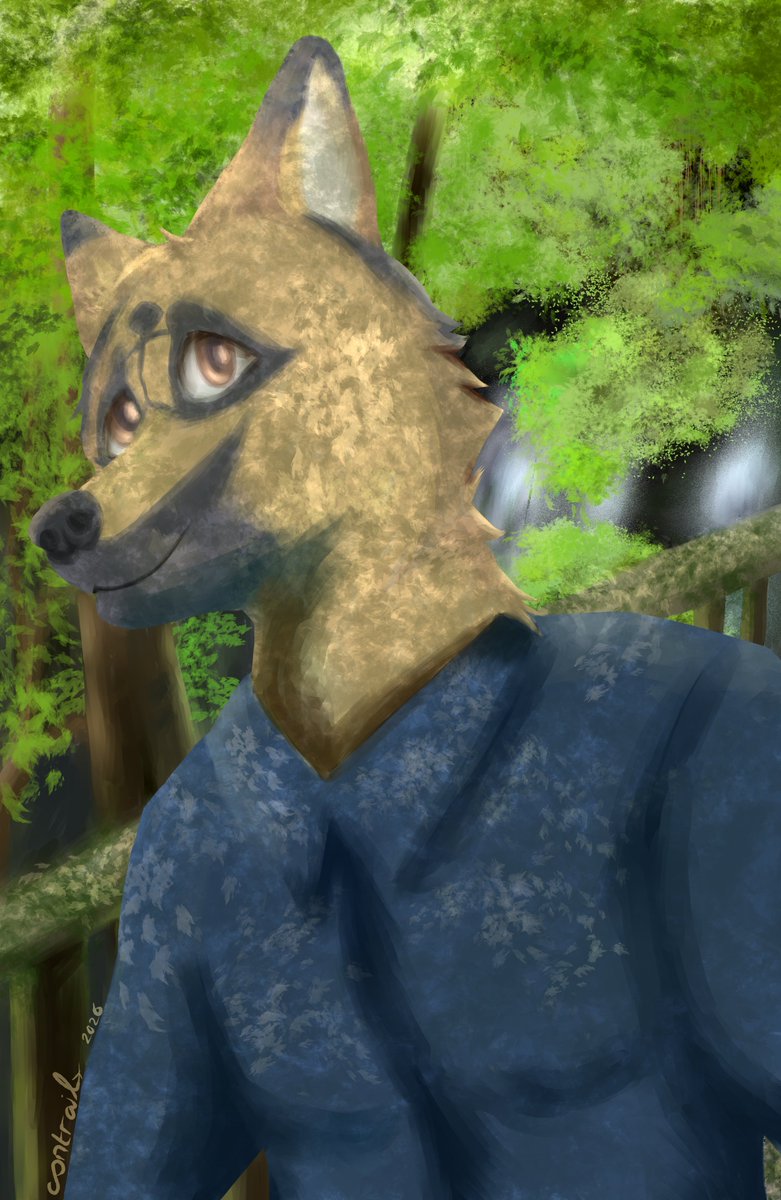 Contrail Aviator Folf ^^ ✈ COMMS (0/1)🔜 FurryMosa tweet media