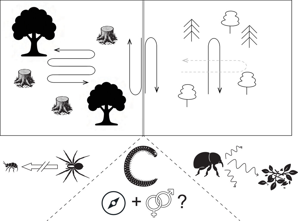 Insect Science tweet media