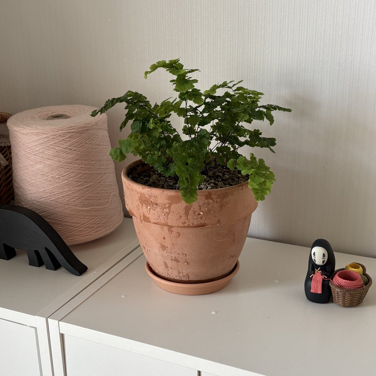 뜨개밥🧶 tweet media