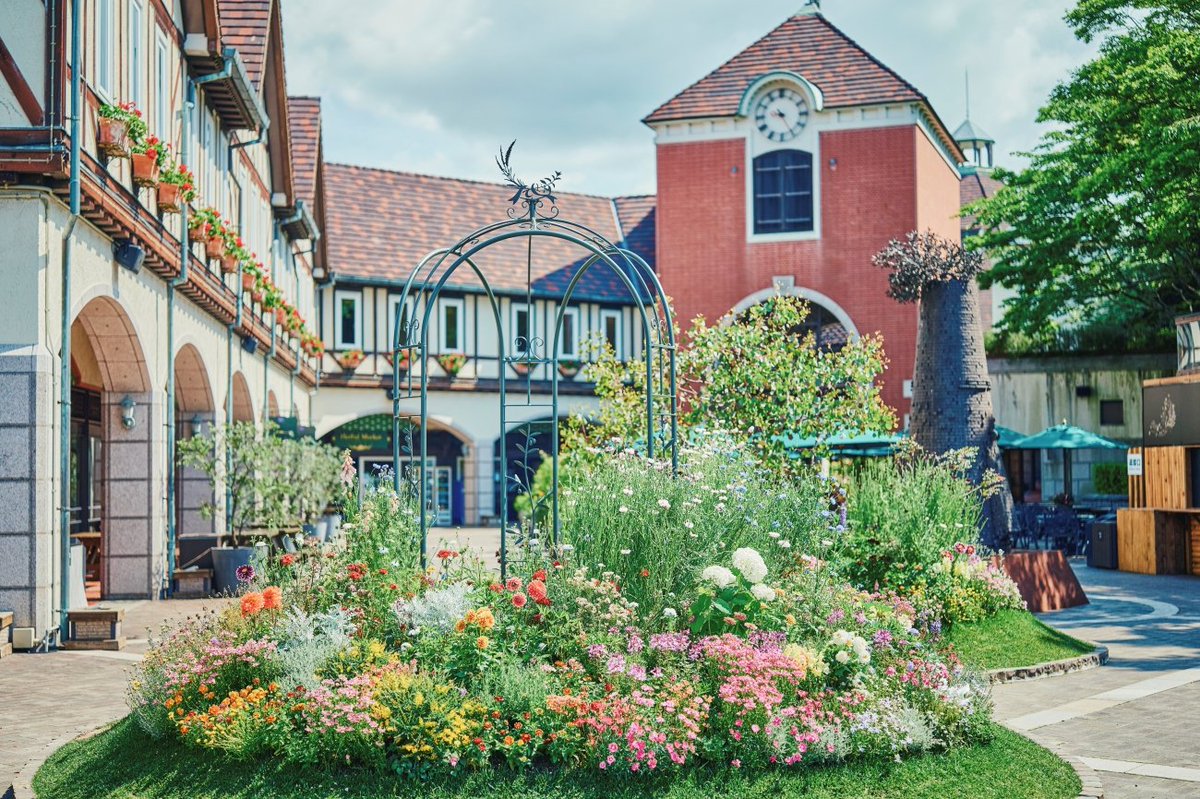 神戸布引ハーブ園/ロープウェイ【公式】 tweet media