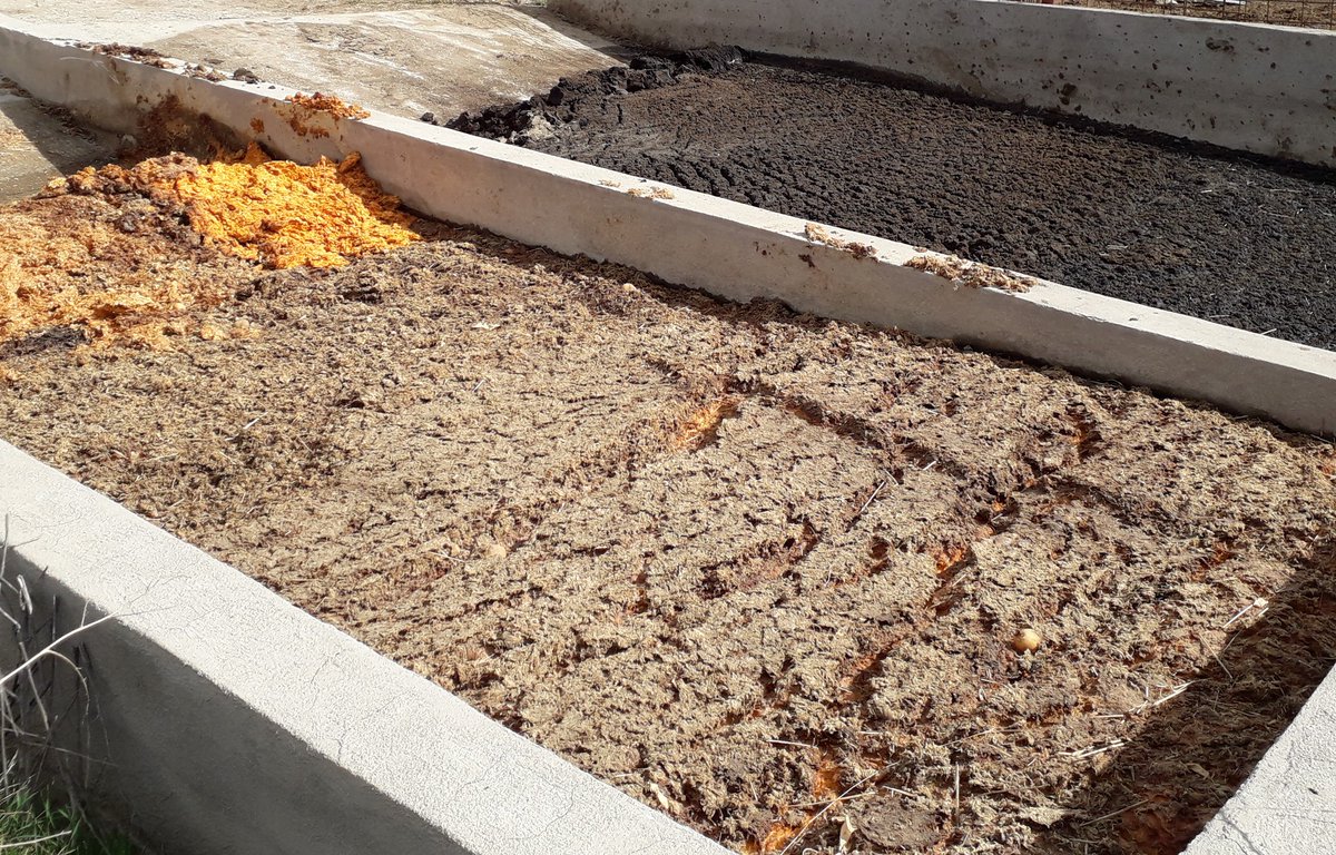 GVAivia's tweet photo. 🐄El #CITA participa en un #curso de alimentación animal dirigido al sector ganadero organizado por @GVAagricultura.
La #alimentación animal supone hasta el 70% de los costes de producción 🔜aprende a optimizar recursos locales mediante el uso de #subproductos🥬agroindustriales. https://t.co/JApR0zZ5w1