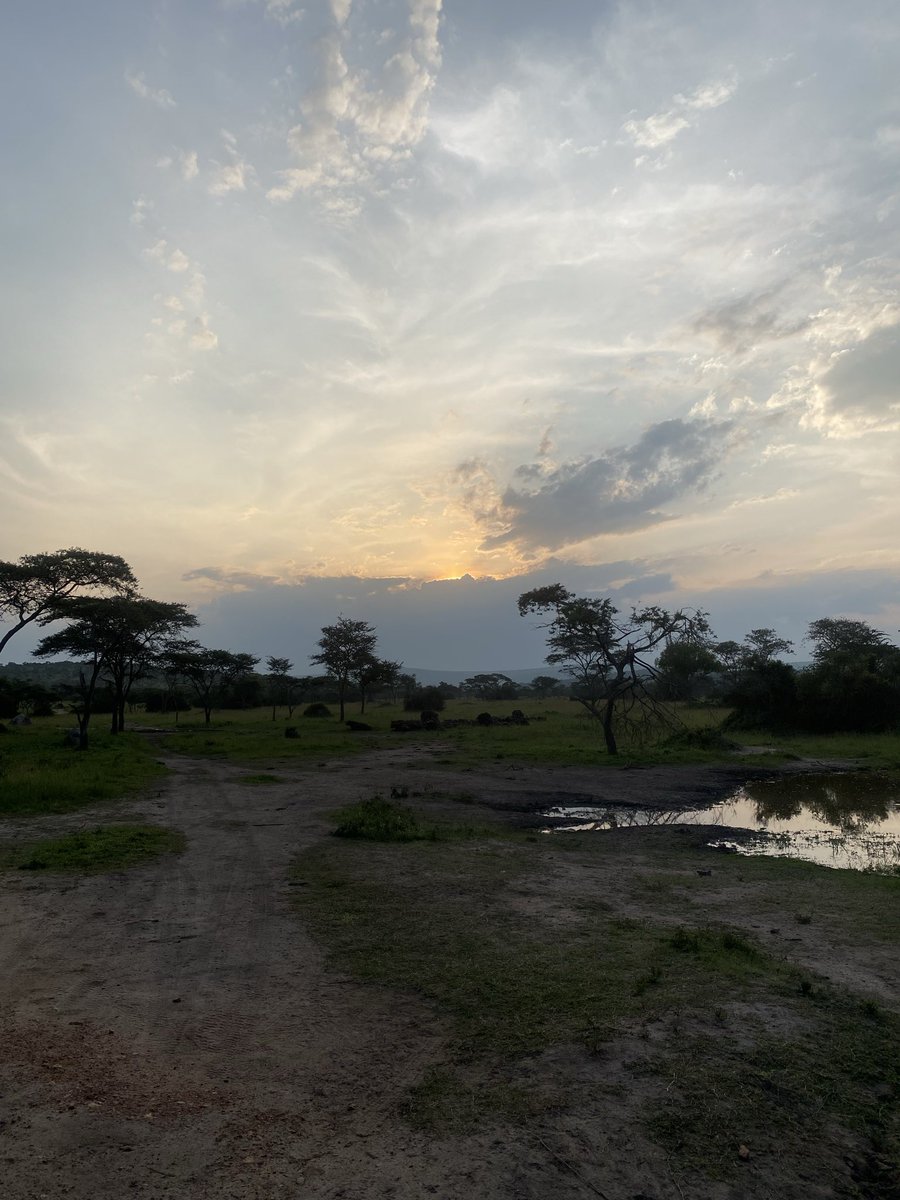 Rose Basemera✨✨ tweet media