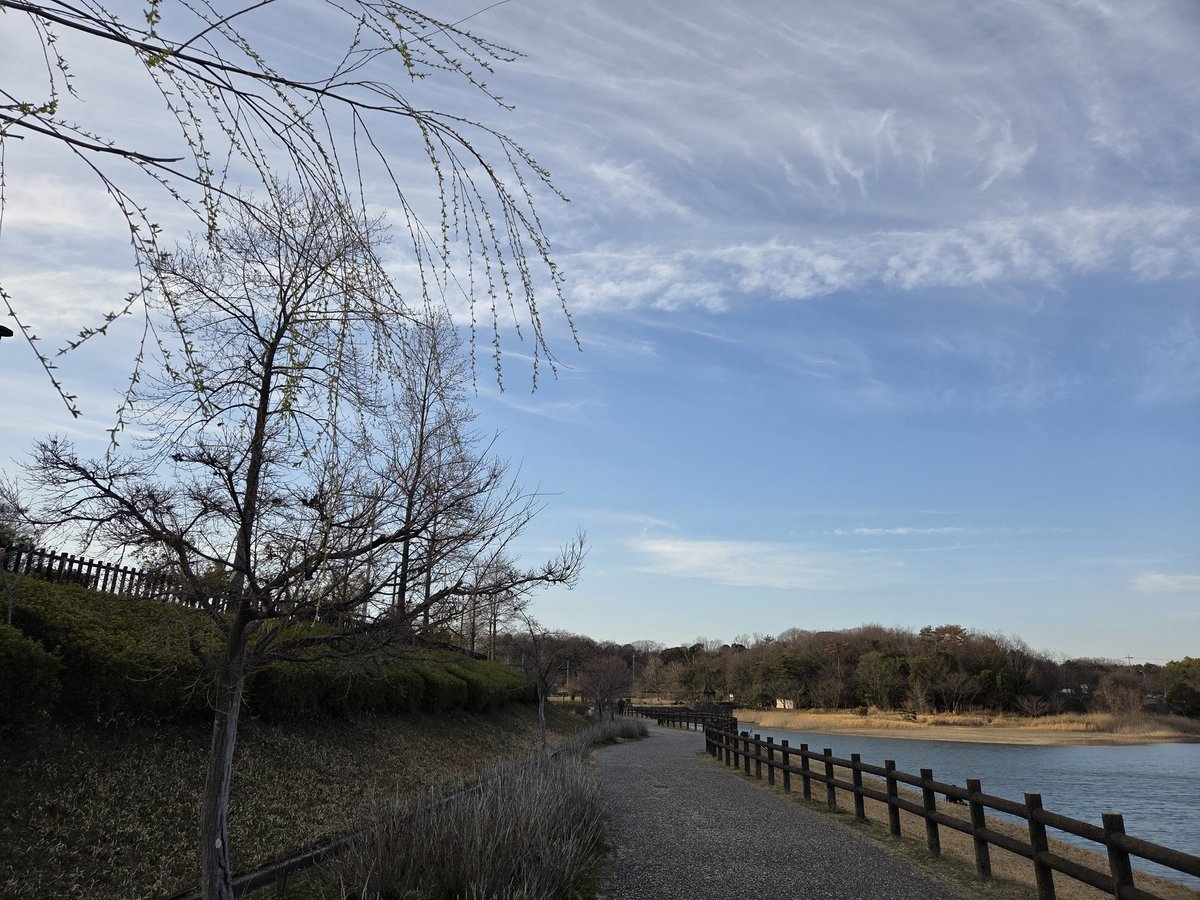 10sakura0519's tweet photo. 夕焼け小焼け https://t.co/pKhI6z7W0d