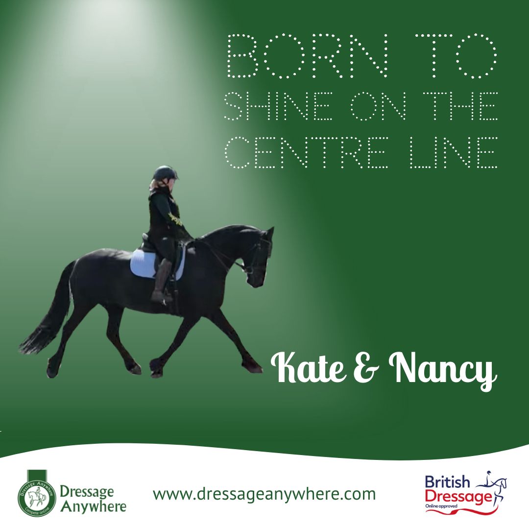 Dressage Anywhere tweet media