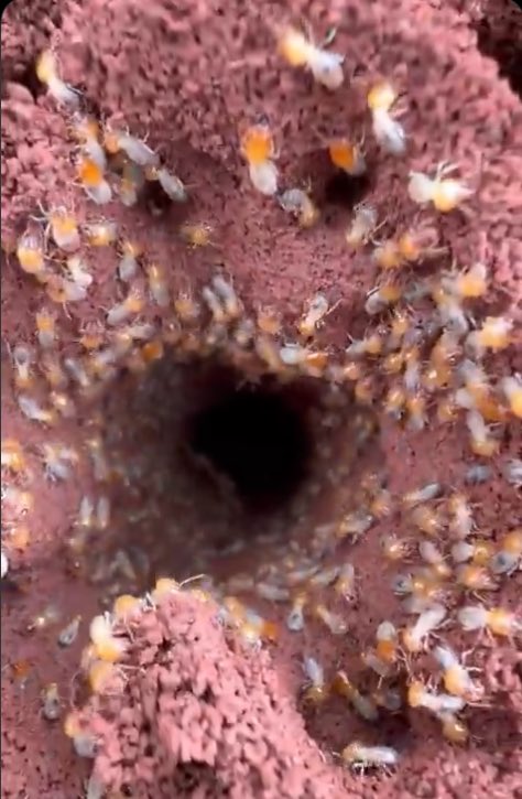 Reasons why we should fear women 👇👇👇👇👇📌📌📌