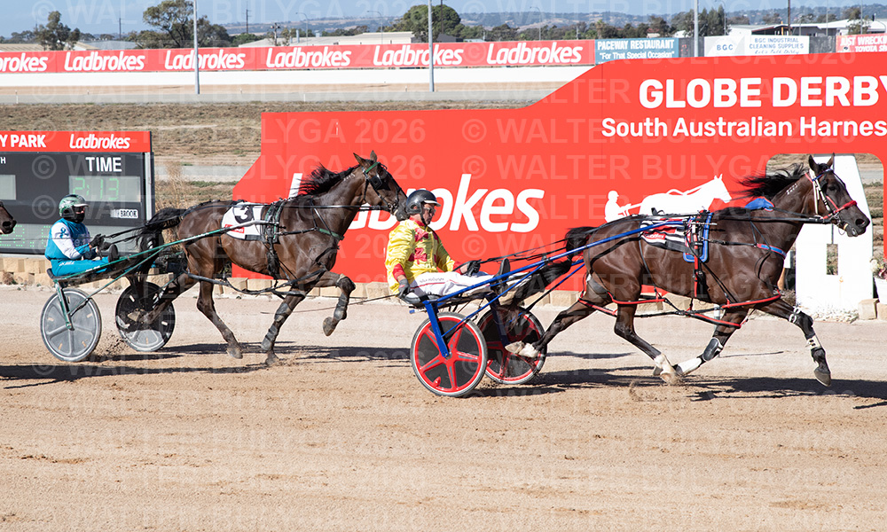 Breeding Viewpoint tweet media