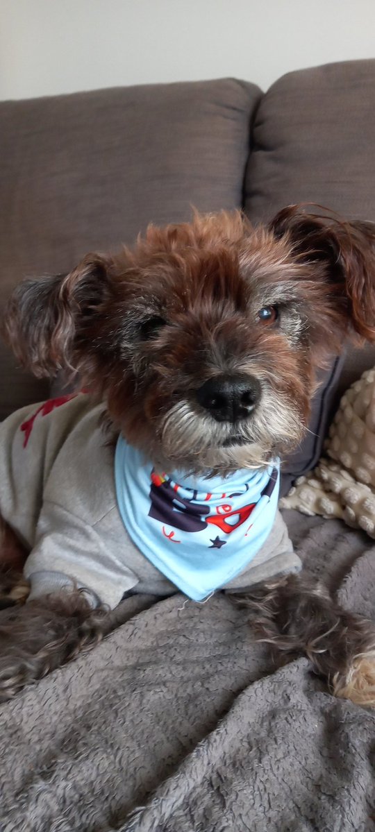 Rory🐻 Missing all pals OTRB 🌈😢 tweet media