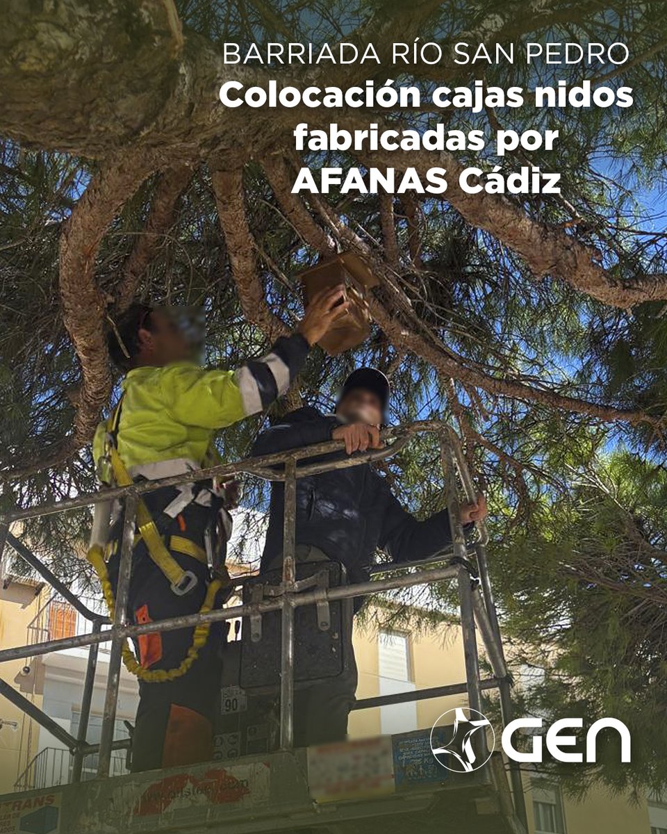 Grupo Energético tweet media