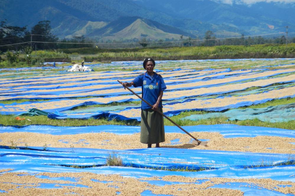 IFAD Asia tweet media