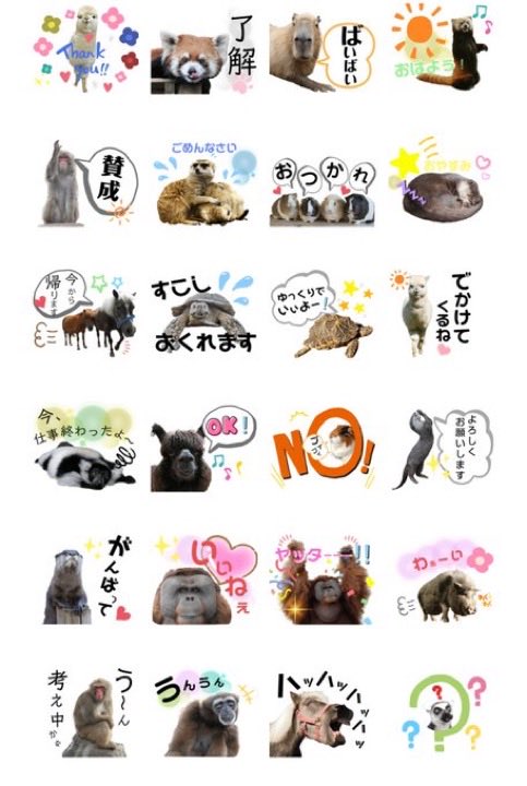 mig_harris's tweet photo. 市川市動植物園のLINEスタンプで応援🐒
#がんばれパンチ
#がんばれ市川市動植物園 https://t.co/djbQv4AP88