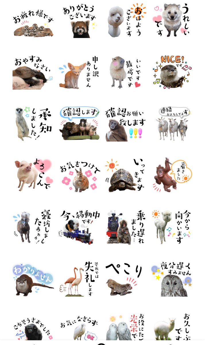 mig_harris's tweet photo. 市川市動植物園のLINEスタンプで応援🐒
#がんばれパンチ
#がんばれ市川市動植物園 https://t.co/djbQv4AP88