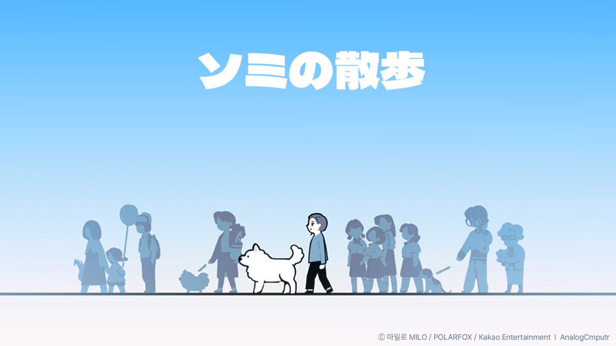 극한견주/ 솜이의산책 tweet media