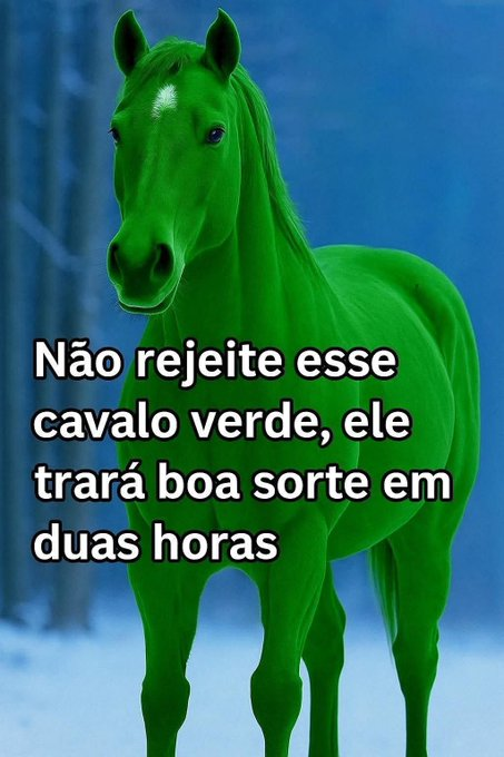 perfil dedicado a gatinhos e peitos tweet media