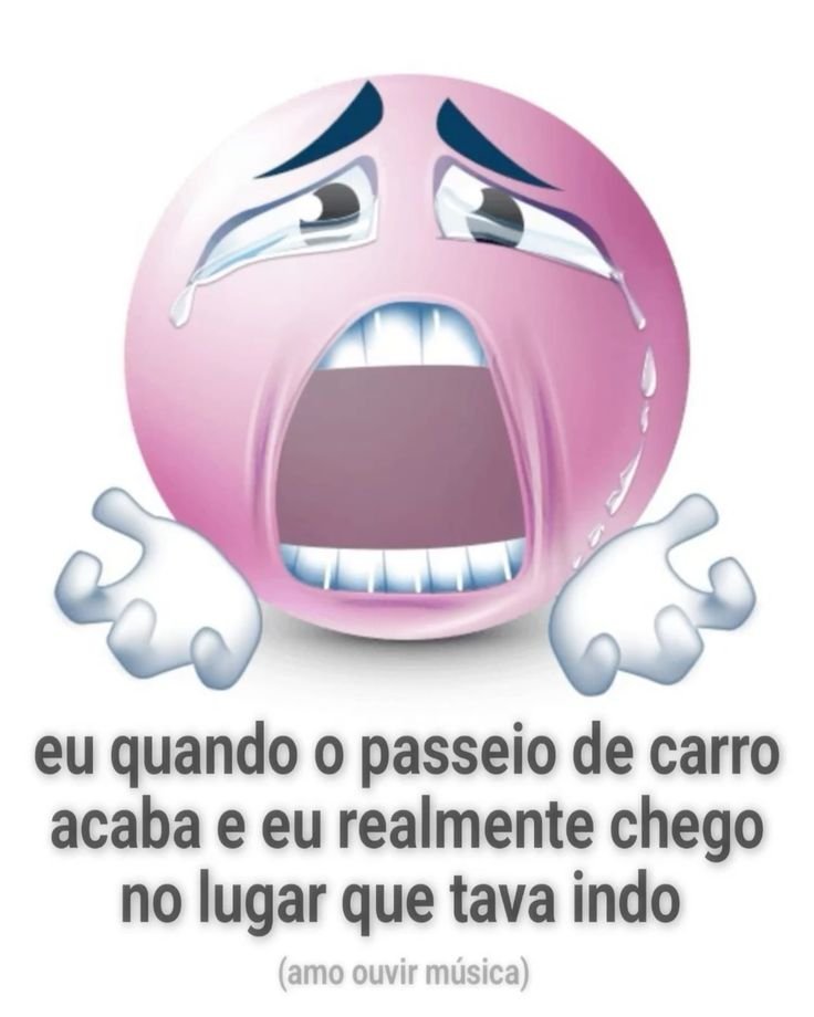 perfil dedicado a gatinhos e peitos (@odeiootaco) on Twitter photo 