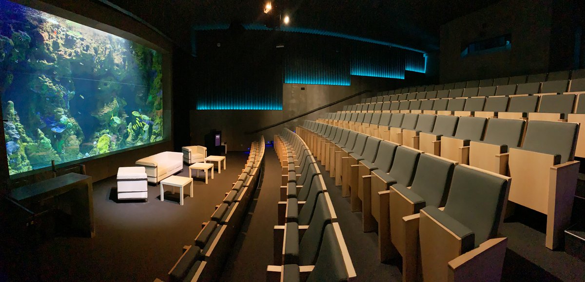 Spain in Belgium & Luxembourg tweet media