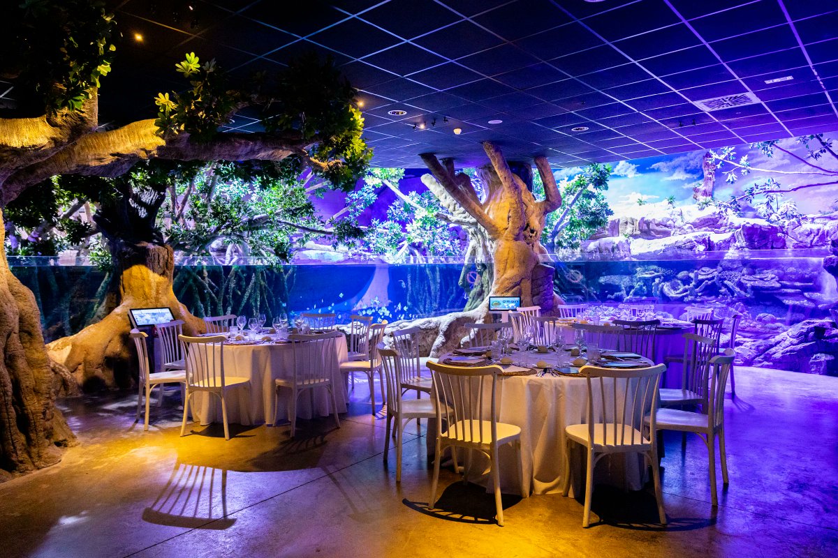 Spain in Belgium & Luxembourg tweet media