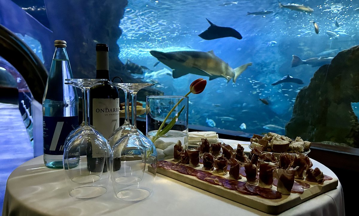 Spain in Belgium & Luxembourg tweet media