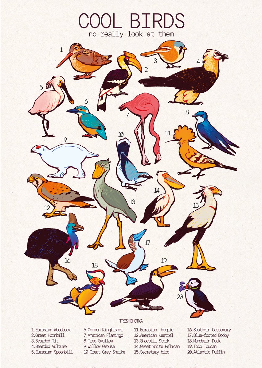 Treshchotka_val's tweet photo. #bird https://t.co/7HMacTYD2i