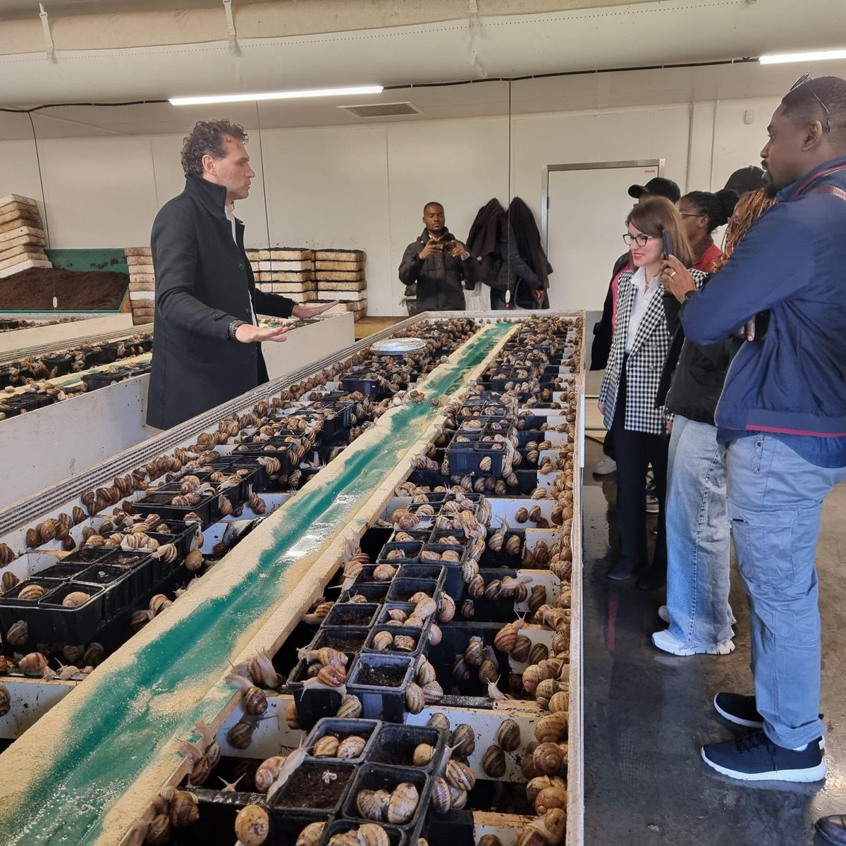 JR Farms Group tweet media