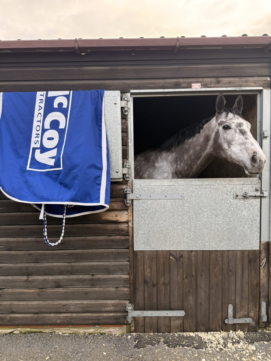 Katie Young tweet media