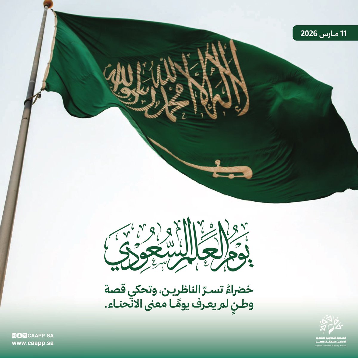 تعاونية عسير لمنتجي الدواجن tweet media