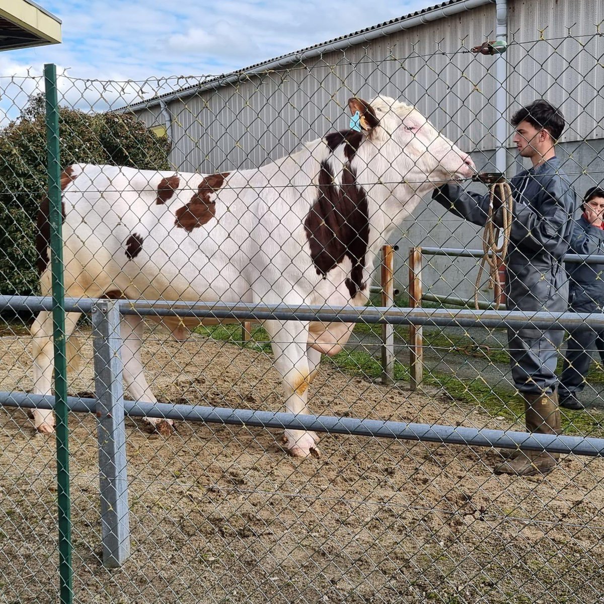 JR Farms Group tweet media