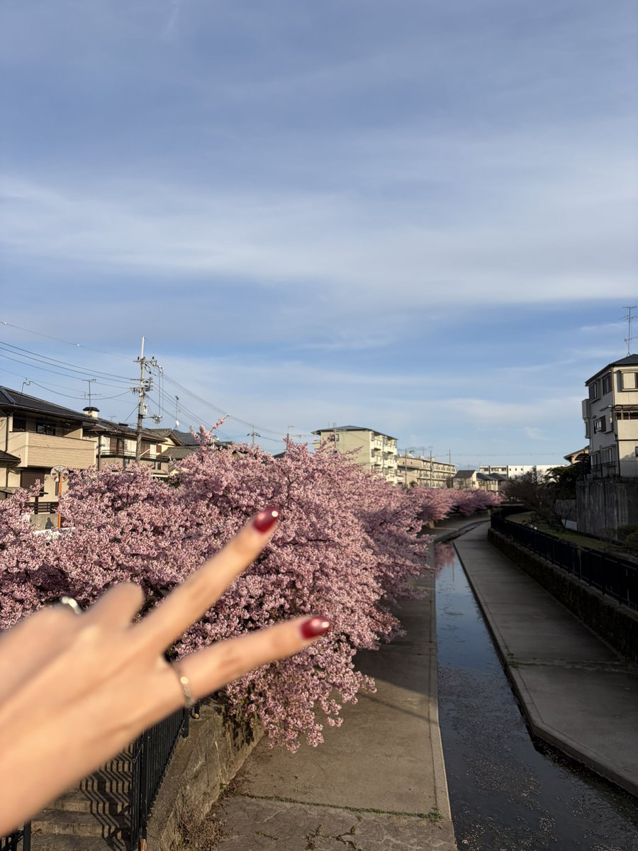 ひおり→4/18 Viltrox様特別イベントモデル📷 tweet media