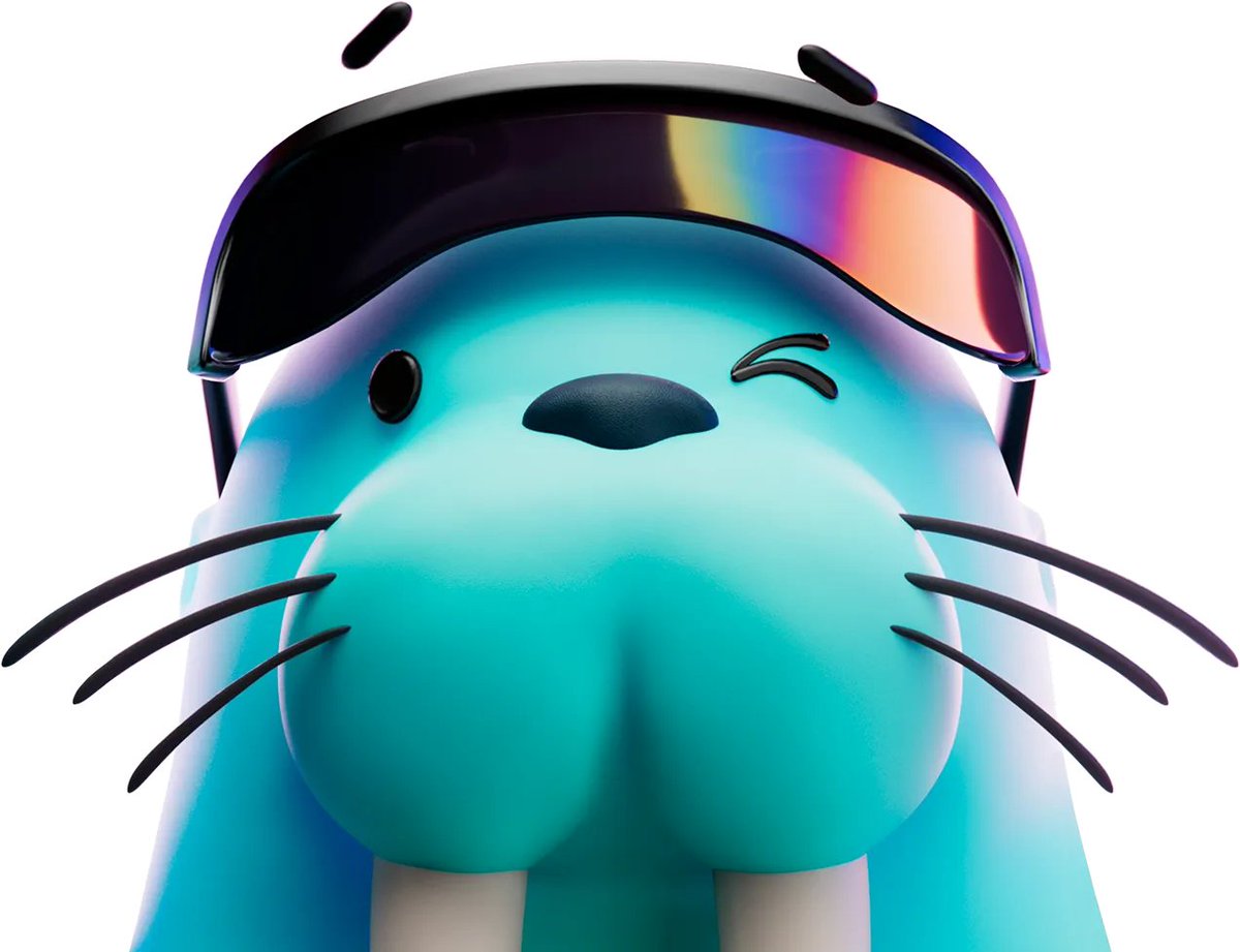 Winter Walrus 🦭/acc ❄️ tweet media