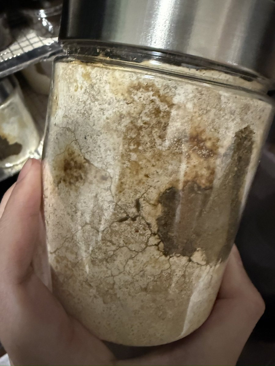 にっしー@クワガタ飼育初心者 tweet media