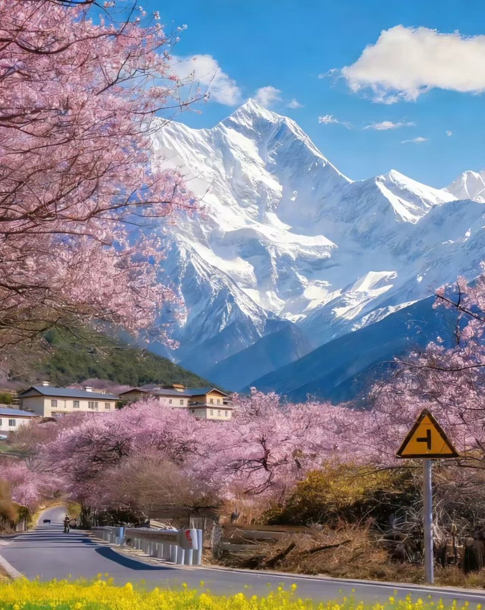 Chinese Embassy in Ireland tweet media