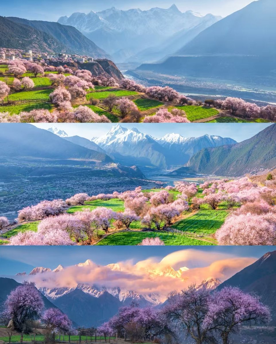 Chinese Embassy in Ireland tweet media