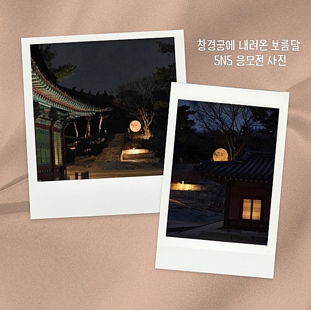창경궁 tweet media