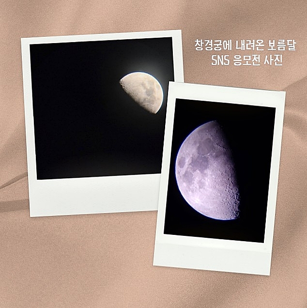 창경궁 tweet media