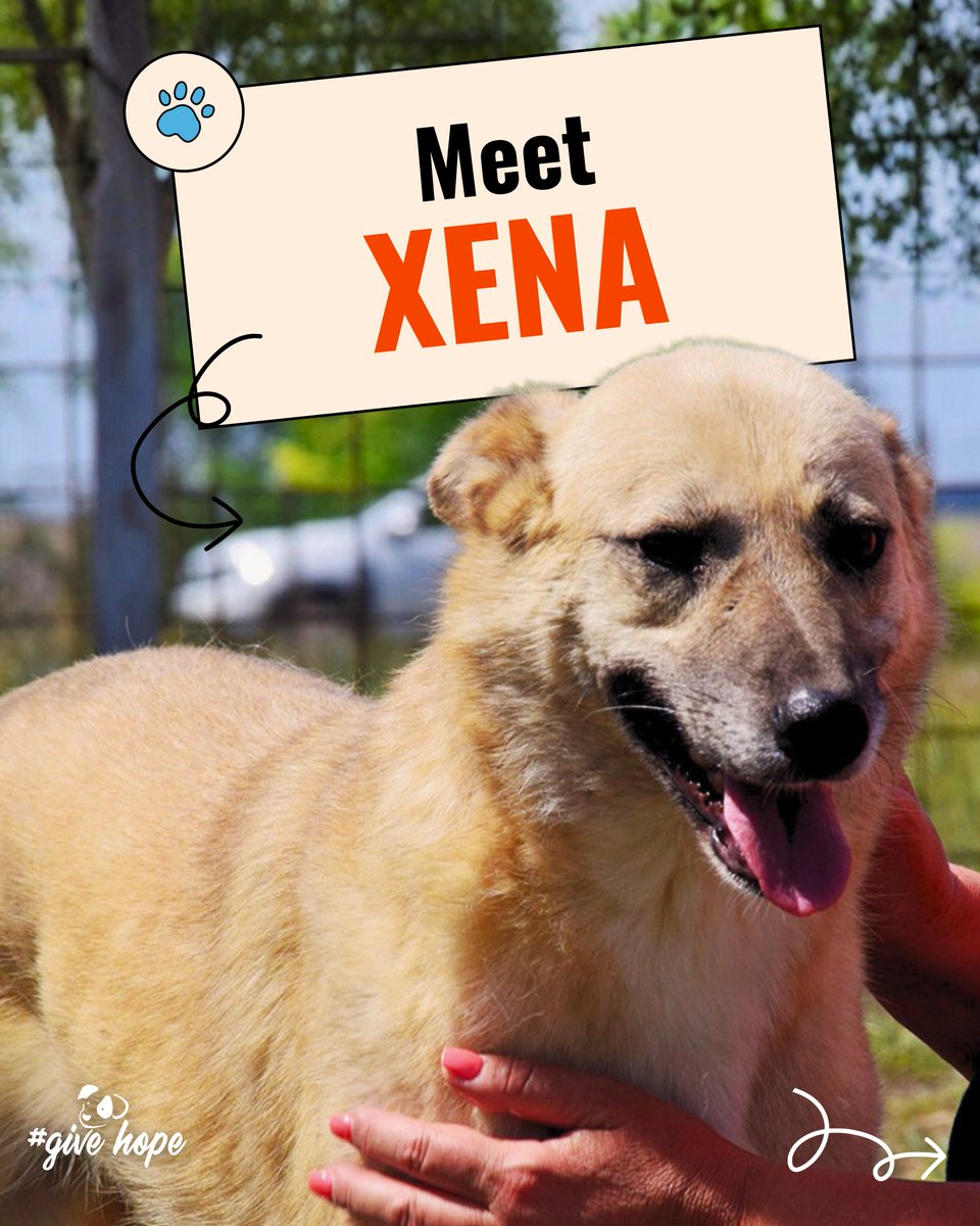 ROLDA Org tweet media