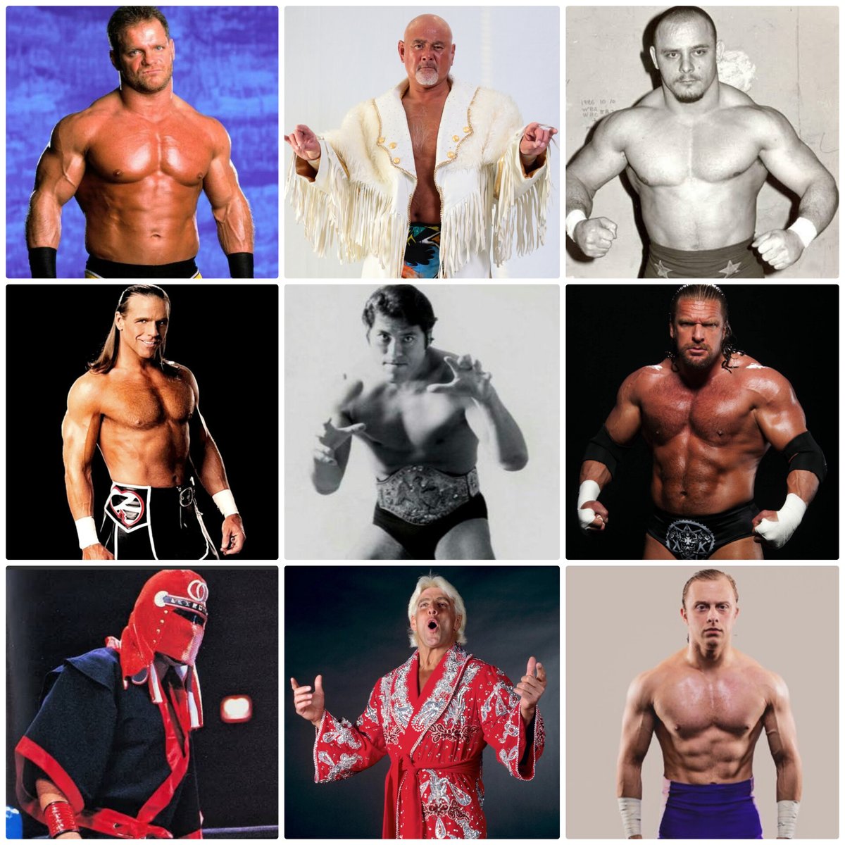 #タイニーを構成する9人のレスラー
