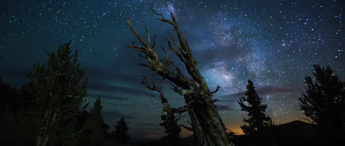RASC_Winnipeg's tweet photo. Join RASC Winnipeg at our March 2026 Astronomy Meeting on Friday, March 13 @ 7 pm.
βΉοΈ https://t.co/KAfqRJ4U7t
Featured presentation: A new documentary film 'Dark Skies' by filmmaker Tyler Funk.
#astronomy #DarkSkyPreserve #darksky #cbcgem #umanitoba #winnipeg #manitoba #RASC https://t.co/yhNZvG90K9