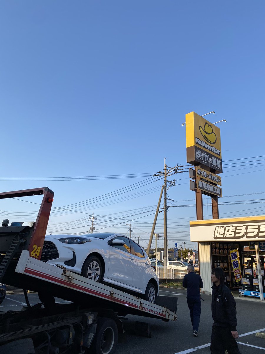 Back2Fishing tweet media