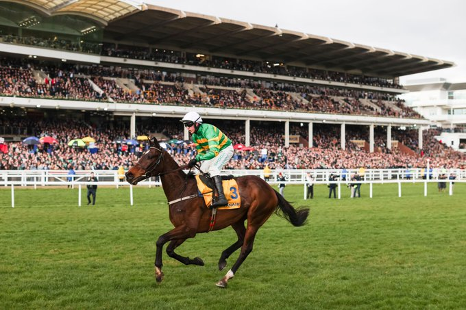 The Winners Enclosure tweet media