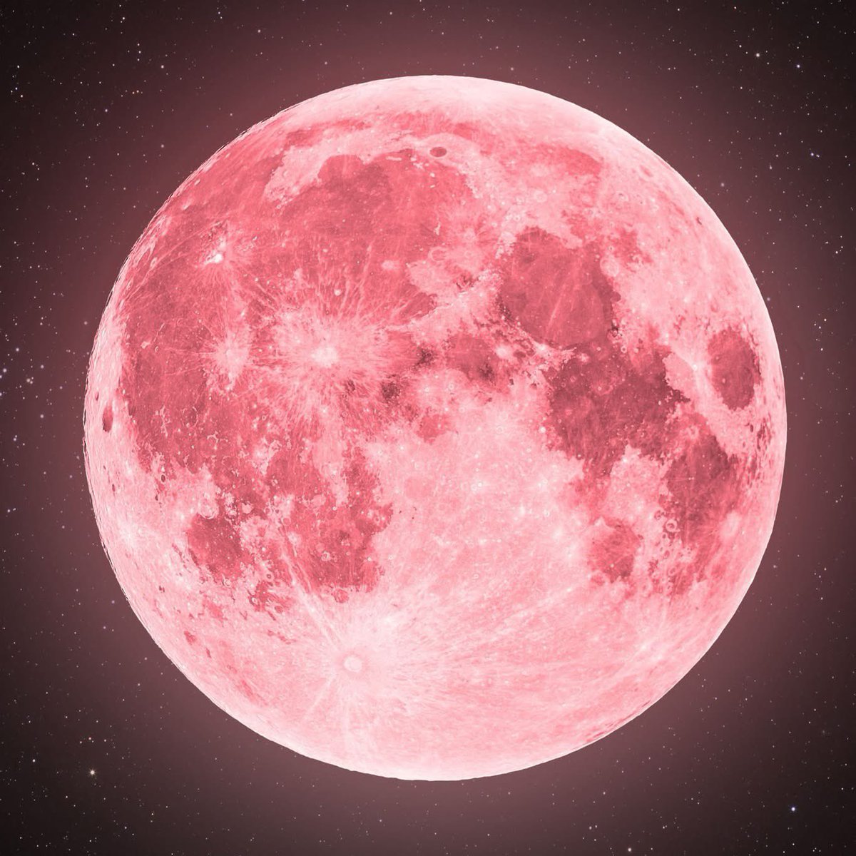 GOSSIP ROOM tweet media