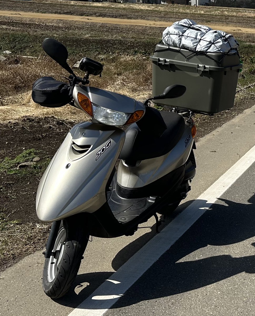 冒険家ブドウ tweet media