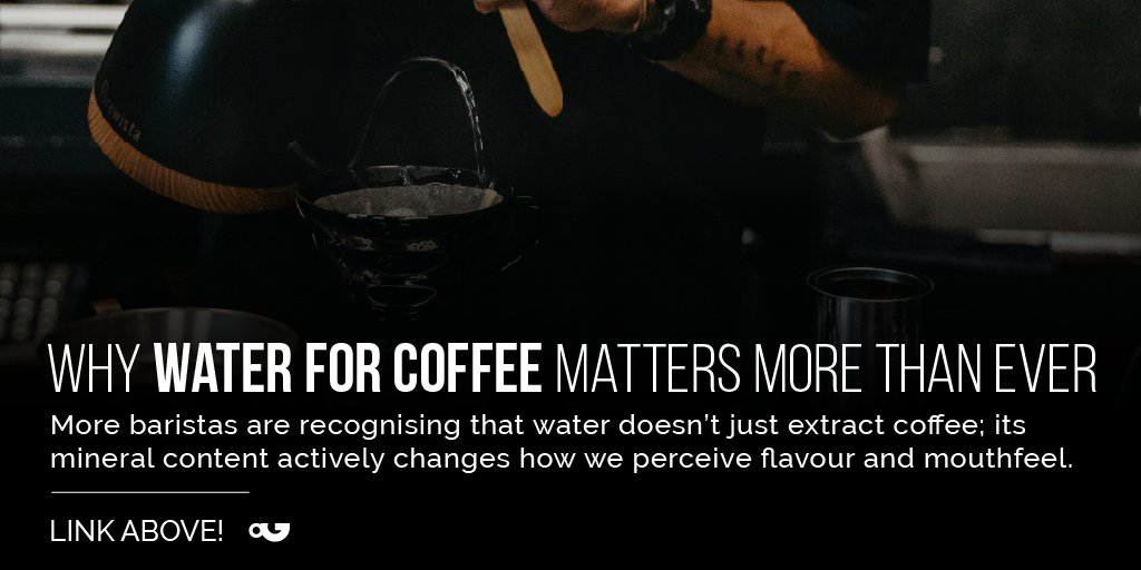 Perfect Daily Grind tweet media