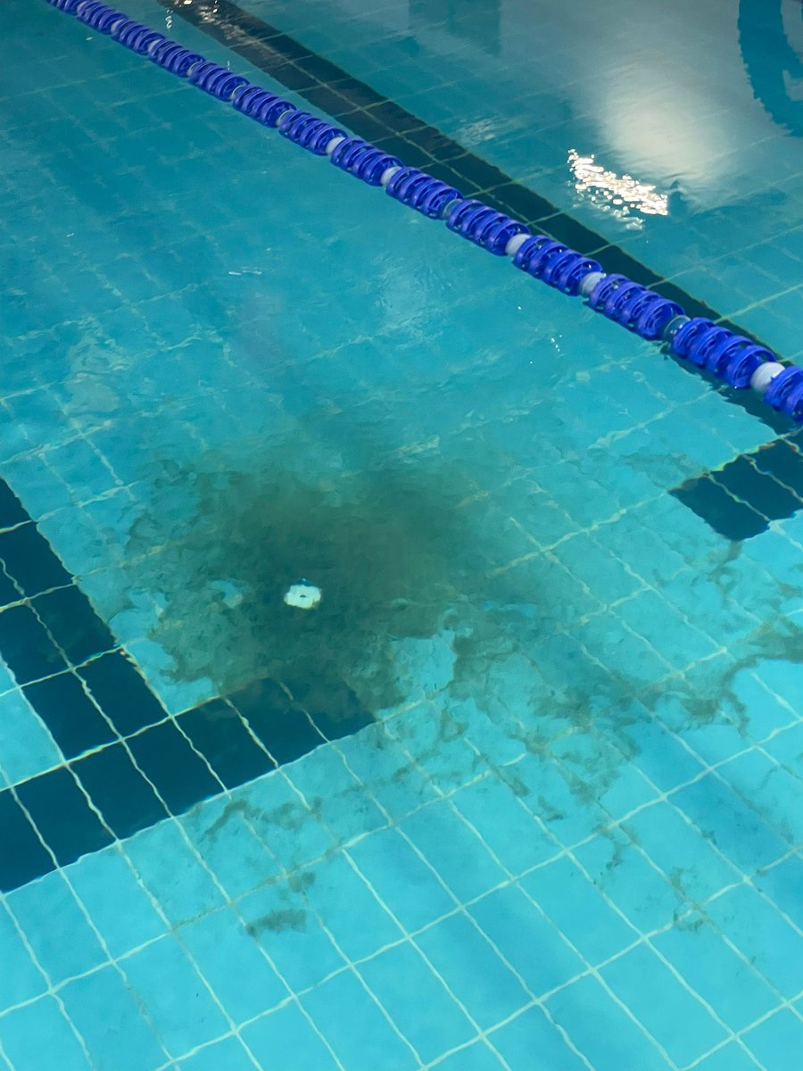 🏊‍♂️La piscina de Riazor vuelve a estar cerrada. 

Tras la caldera ahora es un filtro, obligando a suspender el campeonato Special Olympics. Jacuzzis y sauna llevan dos años cerrados... ¿Qué será mañana?

No hay ni una instalación deportiva nueva y las que hay están muy mal.