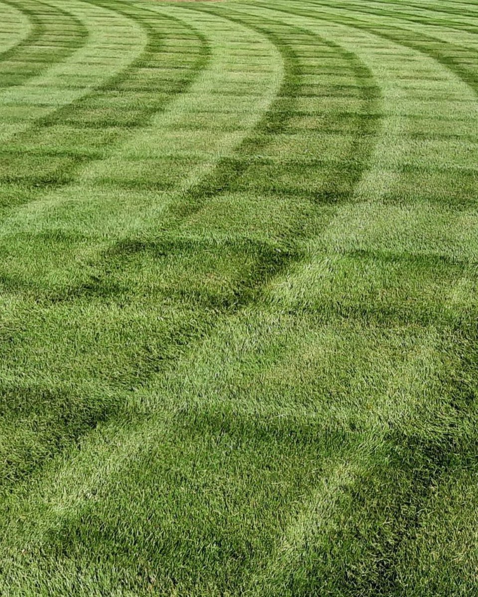 YourGreenPal's tweet image. Mowing mode: ON. 🔥🌱

The grass is waking up, the blades are sharp, and we’re ready to make this mowing season awesome.

Fresh stripes, clean edges, and lawns that turn heads all season long. Let’s go! #lawncare #springtime #springseason