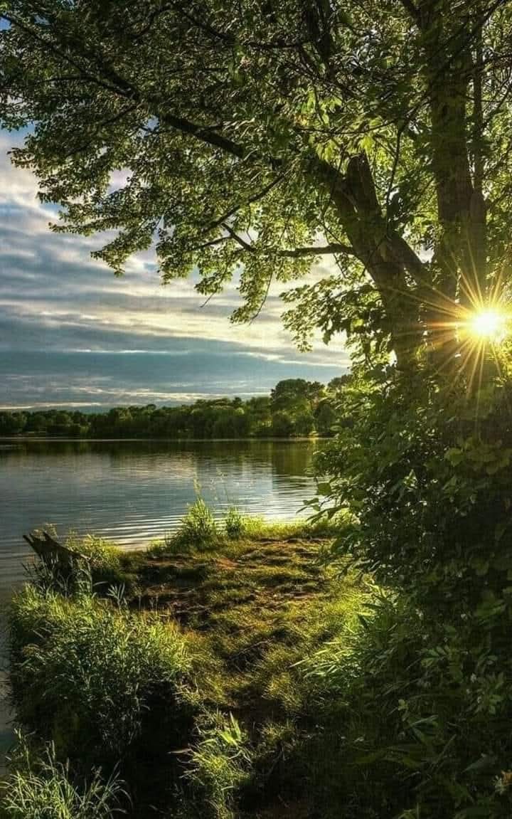 Sabine 🌟💛💫 tweet media