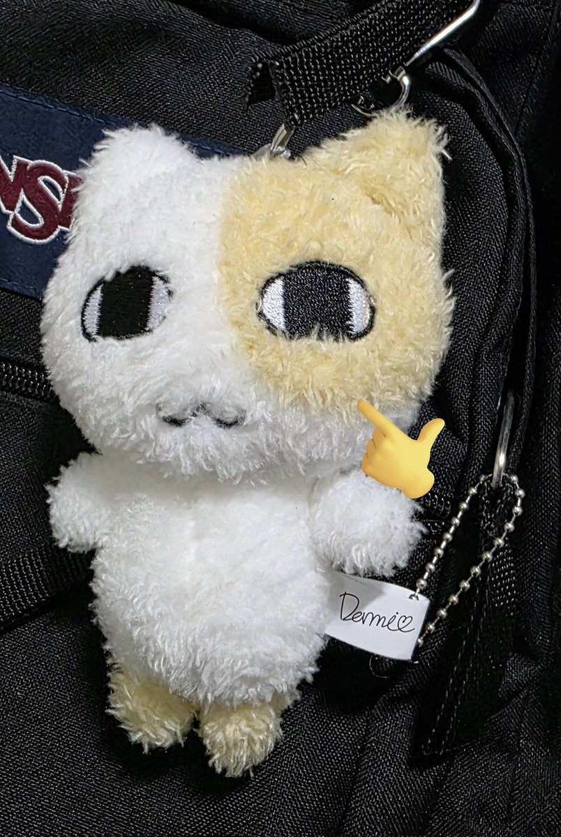 묘냥아   아랑해